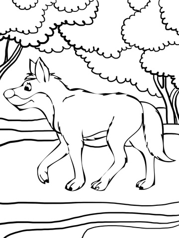 Dingo In The Forest Coloring Page